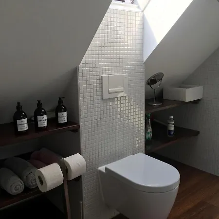 شقة Dachstudio Im Geteviertel - Citynah *