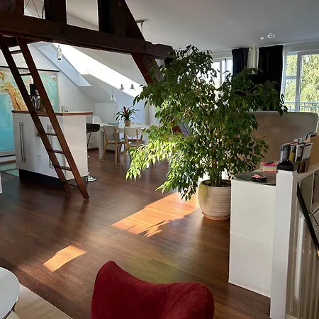 Dachstudio Im Geteviertel - Citynah Apartman *