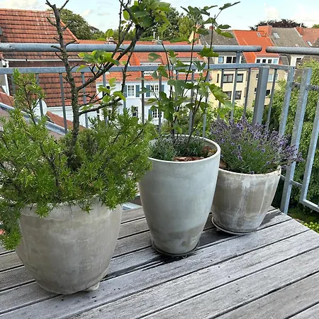 Dachstudio Im Geteviertel - Citynah Apartman *