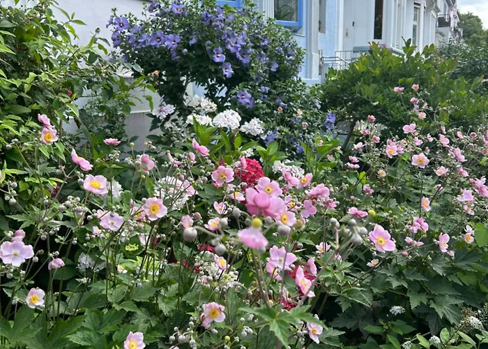 Dachstudio Im Geteviertel - Citynah Daire *